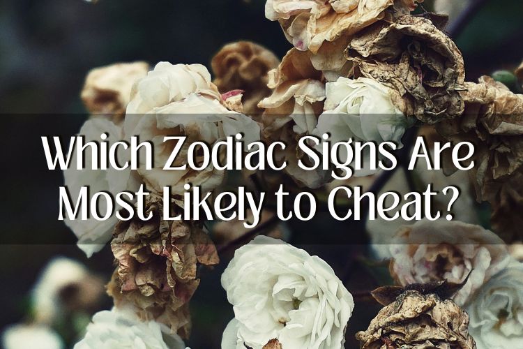 Which Zodiac Signs Are Most Likely to Cheat? The Astrological Truth About Infidelity